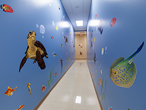 Childrens hallway with fish painted on the walls