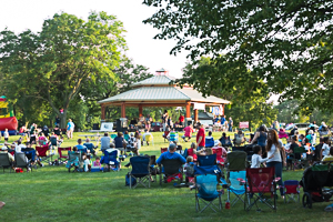 Crowd enjoying concert in the park