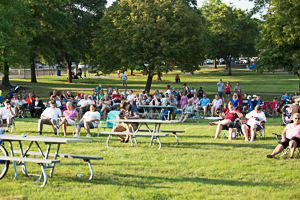 Crowd enjoying a concert in the park