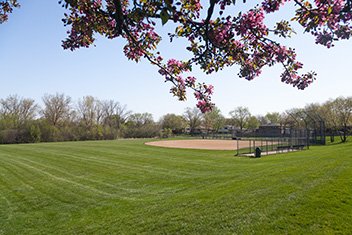 Baseball field from third base line