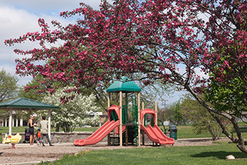 Playground and a red tree