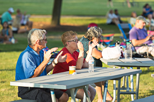 Concert in the park guests